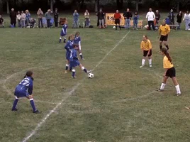 Animated GIF 5